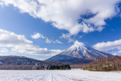 冬天,山,有珠山,羊蹄山,二世谷,软霜,落叶松,雪,旅行者,白色