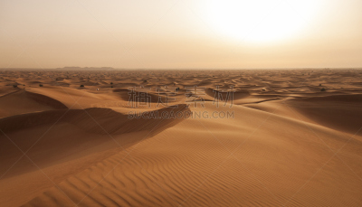 阿布扎比,沙漠,留白,水平画幅,沙子,无人,阴影,干的,empty quarter,迪拜