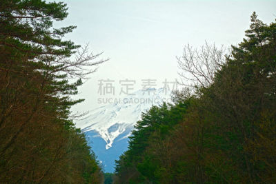 山,富士山,日本,水,灵性,公园,里山,水平画幅,雪,火山地形