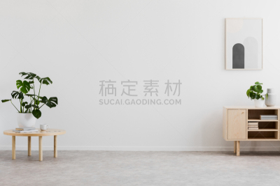 明亮,沙发,书,清新,柜子,木制,室内,起居室,简单