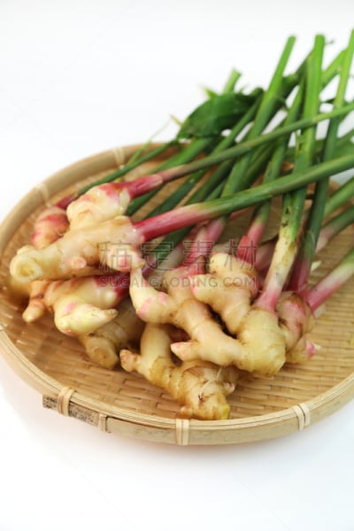 叶子,生姜,垂直画幅,无人,日本,调料,蔬菜,草本,摄影
