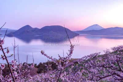 洞爷湖,山,李树,有珠山,梅子,羊蹄山,梅花,二世谷,风景,北海道
