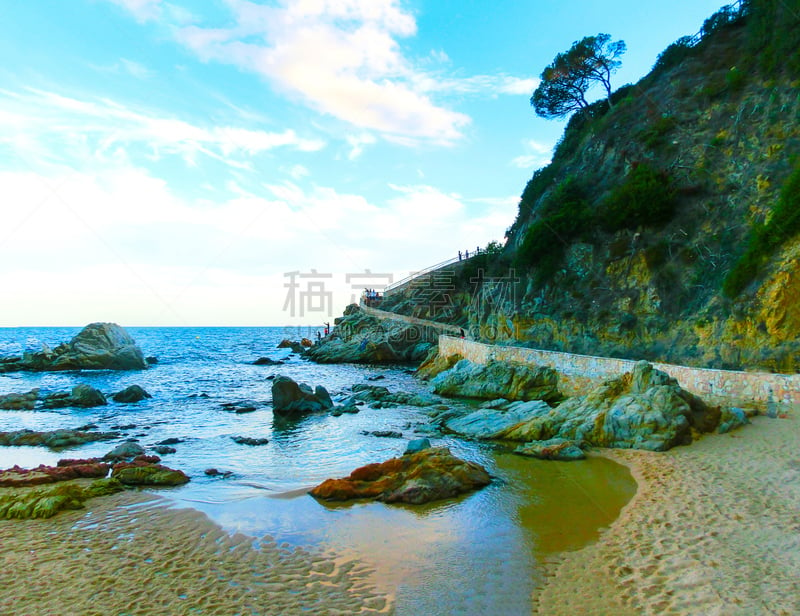 海滩,陡峭海岸,水,天空,洛矶山脉,沙子,旅行者,夏天,松科,著名景点