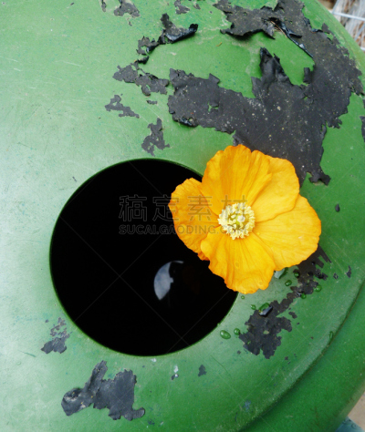 水,桶,地下水,花柱头,排水沟,排水口,垂直画幅,气候,器材箱,威尔士
