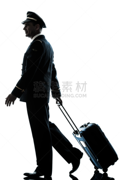 飞行员,制服,男人,商用机,船长,垂直画幅,侧面像,美人,阴影,行李