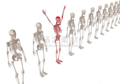 人群,概念,与众不同,领导能力,团队,商务,成年的,骨骼,人类骨架,职业