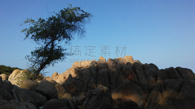 苏梅岛,海草,岩石,泰国,岛,海滩,查温,泰国湾,水,水平画幅