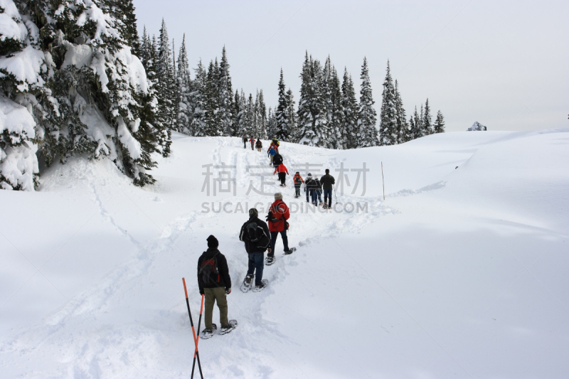 雷尼尔雪山,徒步旅行,自然,冬天,图像,雪,皮尔斯县,穿雪鞋走路运动,无人,户外