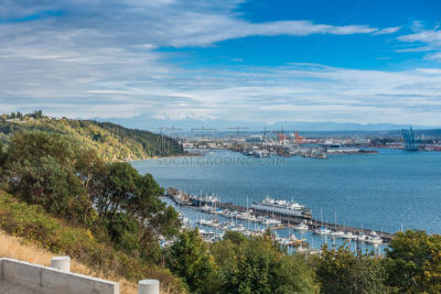 塔可玛港,雷尼尔雪山,五只动物,自然,水,美国,水平画幅,地形,无人,海港