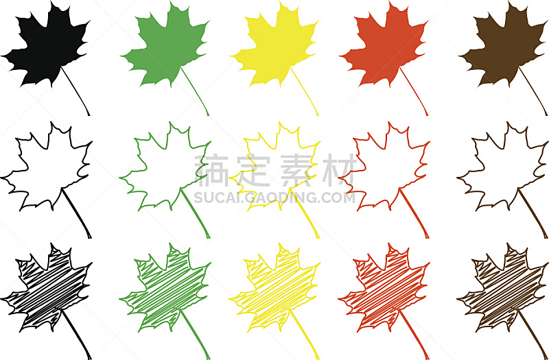 枫叶,彩色图片,加拿大国庆日,枫树,加拿大文明,纹理效果,枝繁叶茂,绘画插图,夏天,四季