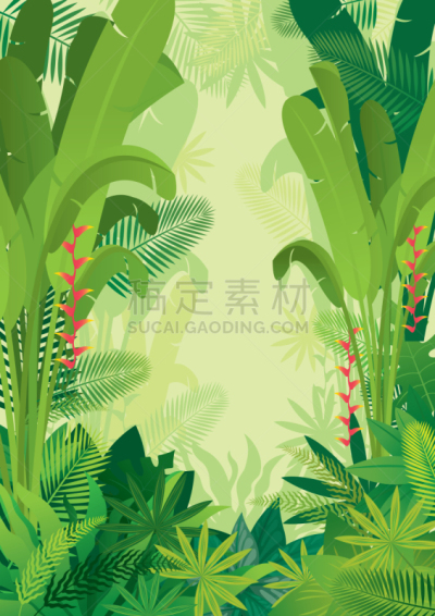 背景,热带雨林,鸡尾酒,照明设备,环境保护,清新,边框,热带气候,泰国