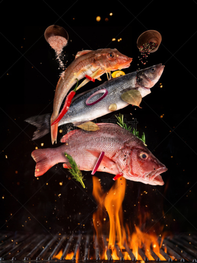 格子,生食,鱼类,分离着色,炊具,黑色背景,完整,垂直画幅,海鲷,膳食