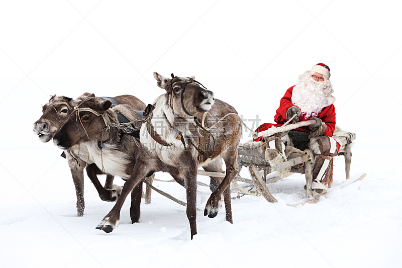 动物雪车,圣诞老人,鹿,雪橇,水平画幅,雪,哺乳纲,冬天,街道