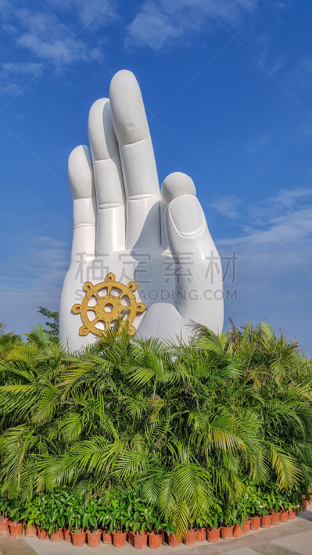 海南省,佛,中国,手,雕像,观音菩萨,三亚,冬青树,神,女神