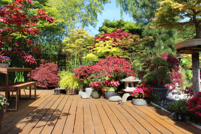 露天平台,鸡爪枫,木制,植物群,图像,盆栽植物,院子,日本灯笼,庭院,盆景