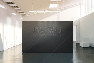 现代,墙,无人,空白的,黑色,留白,艺术家,模板,门厅,白色