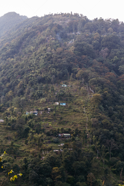 干城章嘉峰,锡金,印度,山,视角,黄昏,北,乡村,绿山国家森林公园,靠近