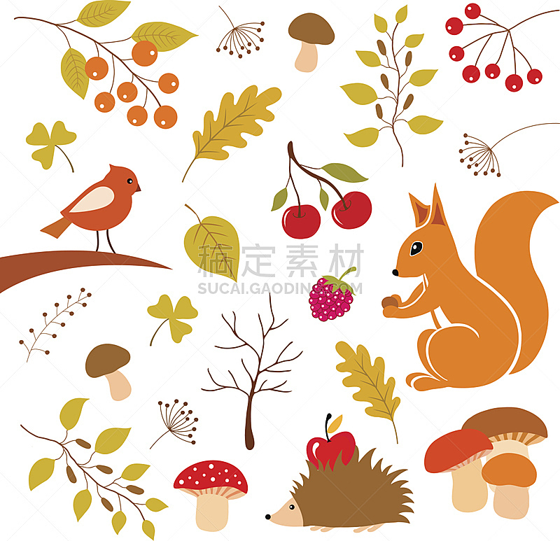 可爱的,秋天,刺猬,松鼠,红醋栗,浆果,樱桃,动物,鸟类,植物