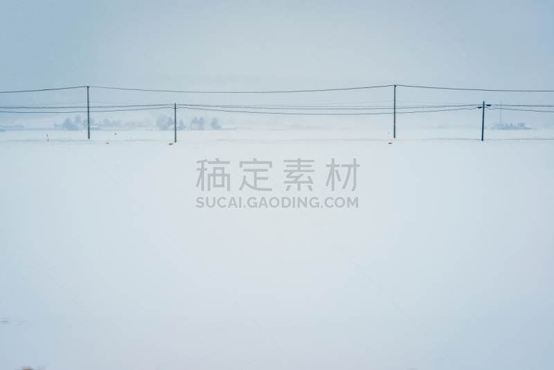 电话线,雪,白色,田地,乡村,小的,北海道,林荫大道,大风雪,天空