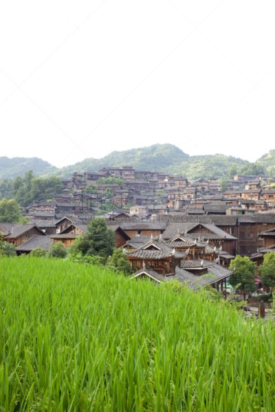 古老的,田地,中国,稻,乡村,壮族,苗族,贵州省,垂直画幅,天空