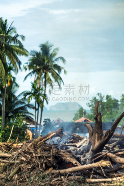蓝塔岛,泰国,雨林,森林开伐,火,林间空地,甲米,陆地
