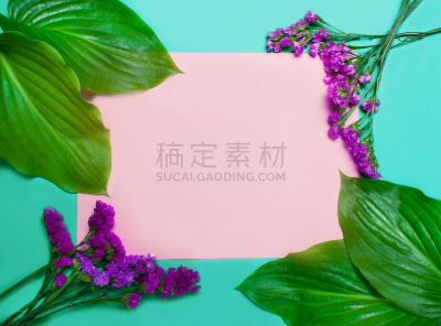 绿色背景,叶子,平铺,留白,白色,建筑结构,绿色,文字,欧亚家燕,美术效果