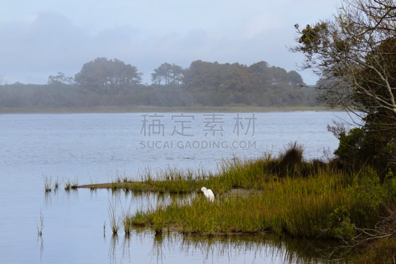 青卡蒂国家野生动物保护区,雾,早晨,奇卡提哥岛,埃萨提岛,东海岸,微咸水,水,美,水平画幅