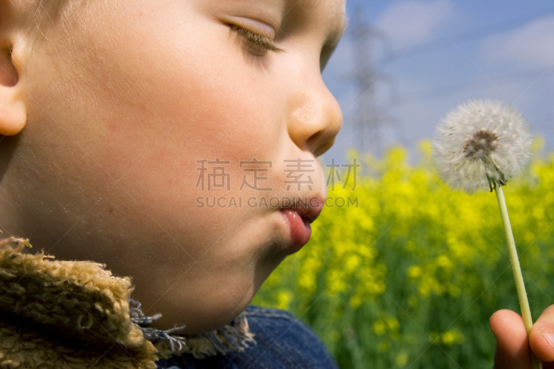儿童,蒲公英,闭着眼睛,纤维症,自然,美,水平画幅,人,野生植物