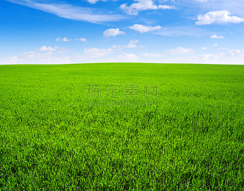 田地,天空,草地,水平画幅,地形,无人,蓝色,草坪,户外,草