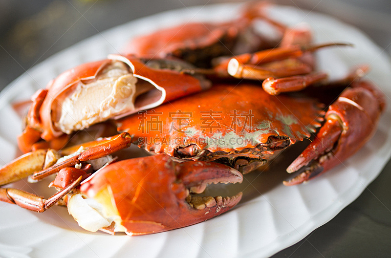 煮食,螃蟹,丹金尼斯螃蟹,捕蟹,饮食,水平画幅,膳食,海产,户外,海洋