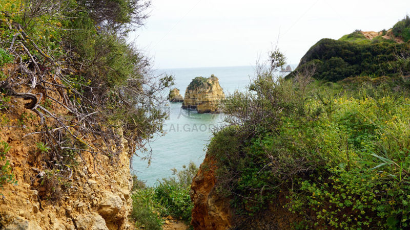 阿尔加威,海岸线,野外动物,唐娜安娜县,阿尔布费拉,拉各斯,木卫欧罗巴,欧罗巴号,悬崖,法鲁区