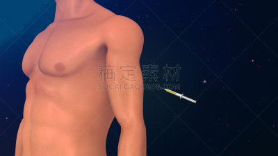 神经系统,水平画幅,形状,绘画插图,科学,葡萄糖,下丘脑,三维图形,有序