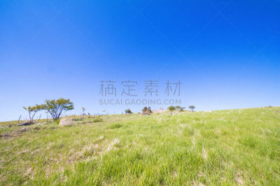 长野县,自然,地形,日本,美原,莫斯特,一只动物,自然美,重要,布置