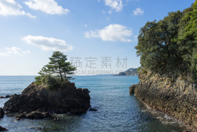 海滩,松树,里山,水平画幅,地形,无人,伊豆半岛,户外,海洋,静冈县
