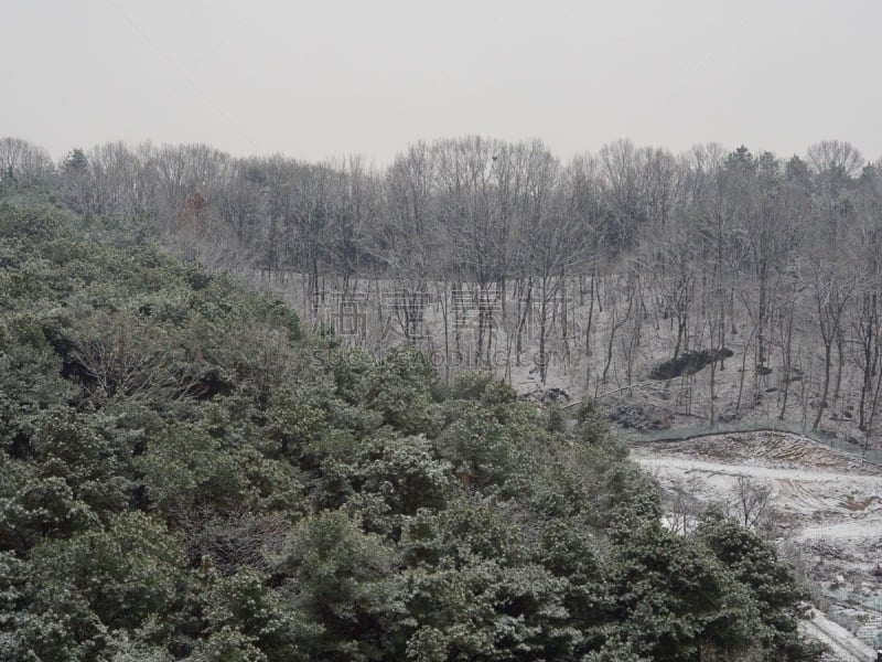 韩国,冬天,山,雪,淸州市,华丽的,旅途,一月,公园,林区