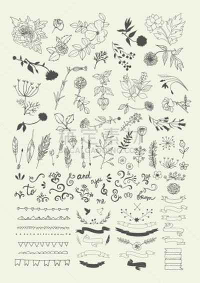 动物手,化学元素周期表,月桂树,花纹,花环,组装套件,请柬,圣诞装饰物,背景分离,边框