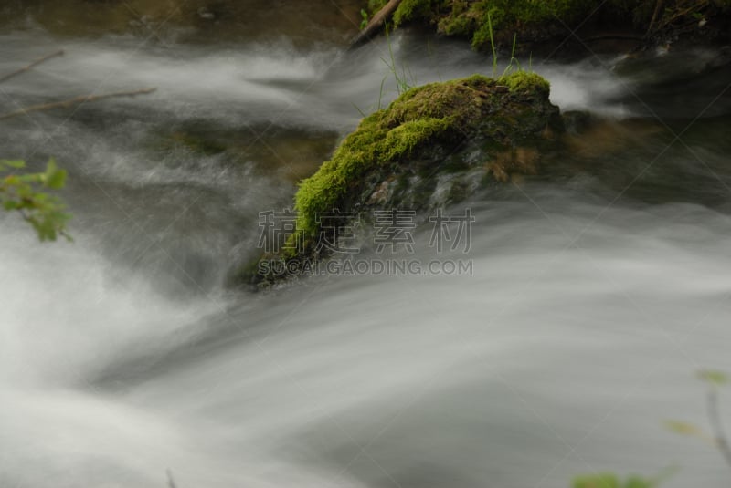 南达科他州,卡司特州立公园,黑山,美洲野牛,死木镇,水平画幅,山,瀑布,无人,户外