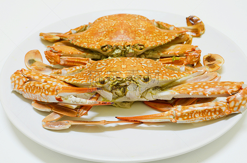 螃蟹,蒸菜,水平画幅,白色背景,海产,偏远的,材料,大豆,海洋,晚餐