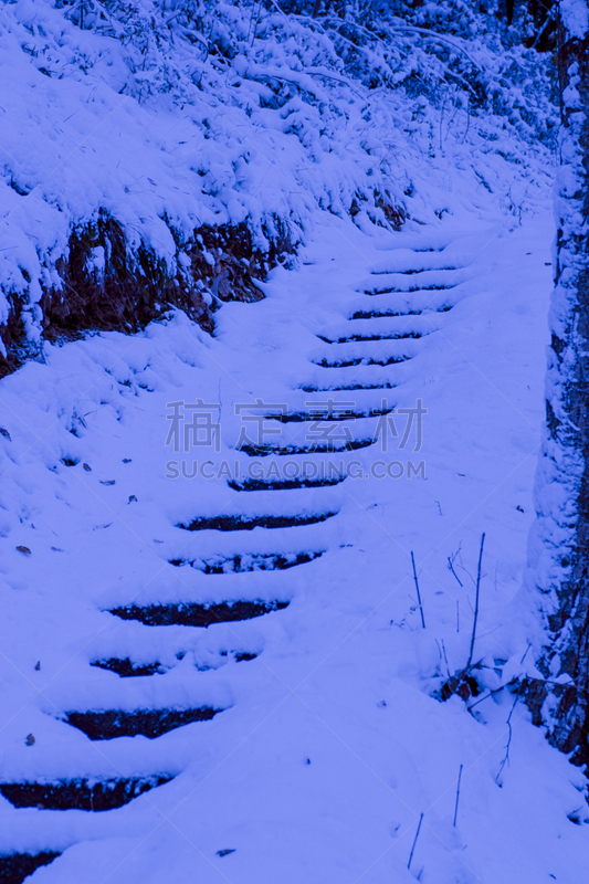 蓝纹海葵,寒冷,自由,雪山,霜,雪,自然美,粉末状雪,户外,前进的道路