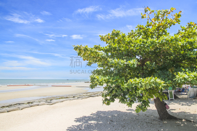 海滩,水,天空,美,度假胜地,水平画幅,沙子,夏天,户外,泰国