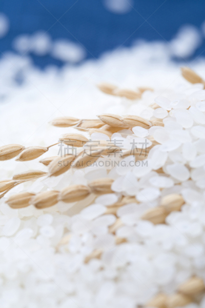 米,白米,垂直画幅,饮食,静物,草类,无人,生活方式,食品