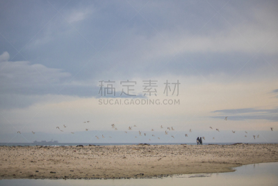 鸟类,海滩,一群鸟,伴侣,中间,水,天空,水平画幅,云,开普敦