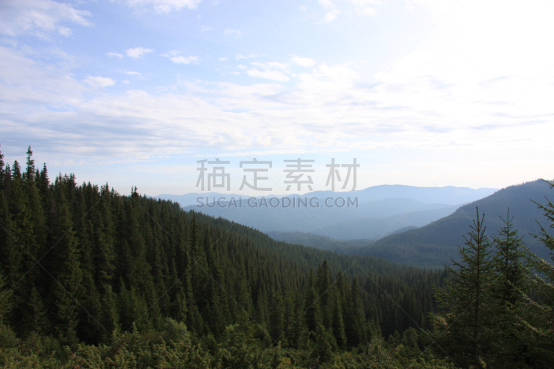 卡帕锡安山脉,度假胜地,水平画幅,山,无人,东欧,树梢,户外,顶部,伊万诺-弗兰克依维卡