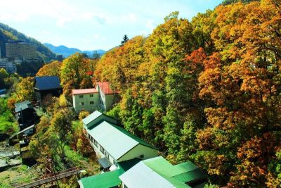 秋天,温泉,札幌,北海道,风景,黄色,红色,图像,叶子,足浴