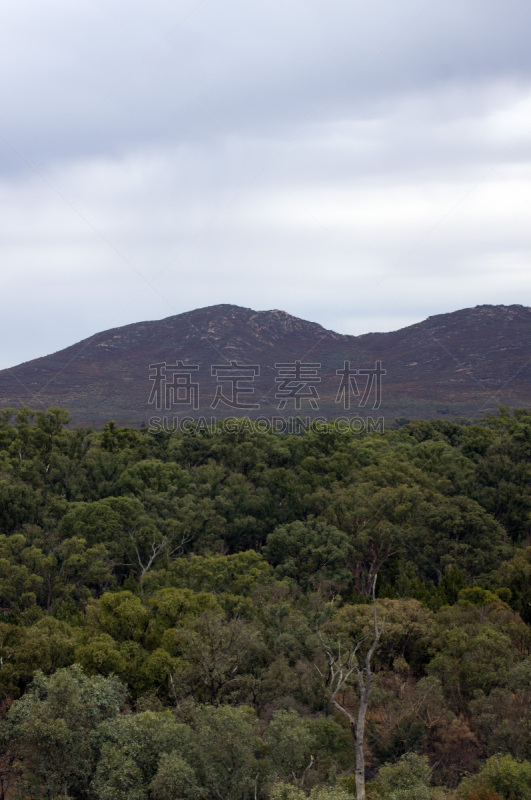 维佩纳凹地,澳大利亚,风景,狩猎动物,云,南澳大利亚,植物,户外,天空,山脉