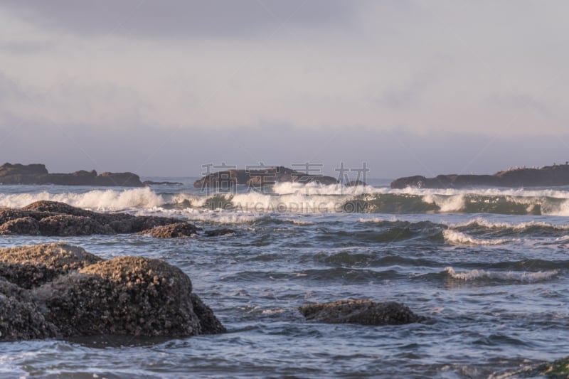 波浪,岩石,自然,原野,海滩,新西兰南岛,美国西北太平洋地区,华盛顿州,世界遗产,环境