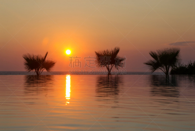 鸡尾酒,水,曙暮光,旅行者,夏天,异国情调,棕榈树,海滩,热带气候,黎明
