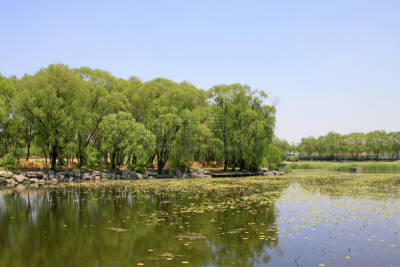 湖,特写,唐山,公园,风景,南,自然,季节,环境,图像