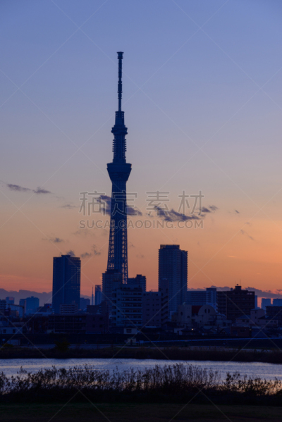东京天空树,黄昏,垂直画幅,天空,里山,夜晚,曙暮光,旅行者,都市风景,火车站站台
