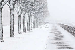 公园,俄罗斯,圣彼得堡,伦敦城,暴风雨,气候,水平画幅,雪,透视图,冬天